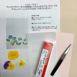 春！スミレのスプリングカードを作れるキットの画像