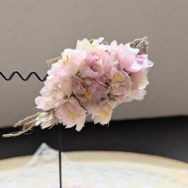 ブローチ　ｷｬｽｹｰﾄﾞ八重桜（薄桜色）B1
