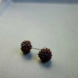 Sucre rouxの画像