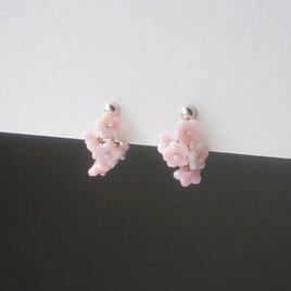花房のイヤリング (ピアス)の画像