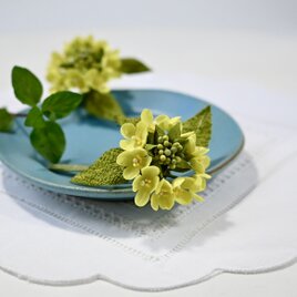 布花 ちっちゃな白くて可愛いマーガレットに似たノースポールの
