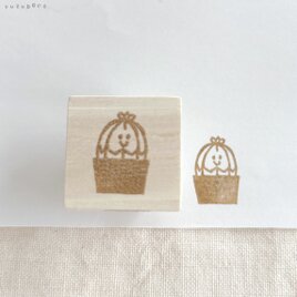 ボタニカルシリーズ　オベサの画像