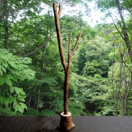 静かに佇む冬の樹　小枝ペンいの画像