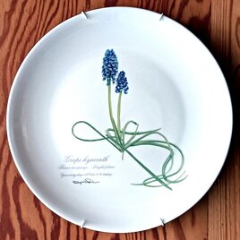 ムスカリのやさしい陶器の壁掛け絵皿(30cm) 送料無料の画像