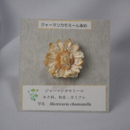 ハーブ染めピンバッジ☆カモミール染めの画像