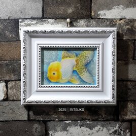 肉筆 原画 1点もの ボールペン画 日本人作家 色鉛筆画 チャイナブルー 金魚 金魚の絵 絵画 絵 アート 額入り 額装付きの画像
