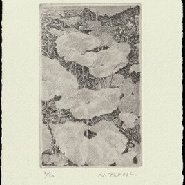 蕗（ふき)・2011/銅版画 (作品のみ）の画像