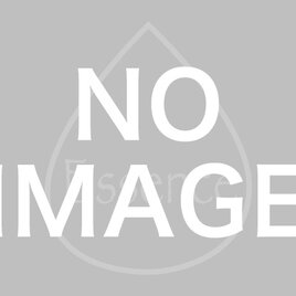 特別オーダーチャーム【キングマンターコイズ・ペアシェイプ】の画像