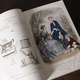 古書 彩色モード版画付 本 Magasin des Demoiselles 1849-50年 アンティーク 0501646の画像