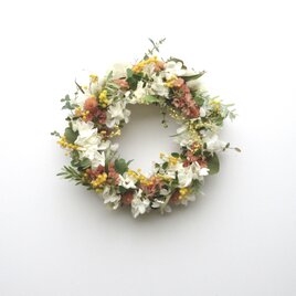 flower bloomの画像