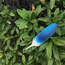 本革　羽根　おおるり　ブローチの画像