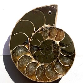穴あきアンモナイト[129] 38x32mm 17g　天然石ルースの画像