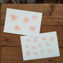 postcard / さくら　２柄のセットの画像