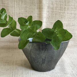 蚊遣り　花入れにも