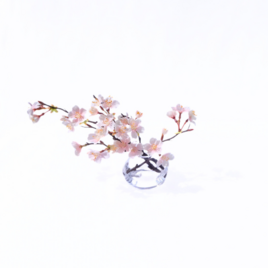 春を贈る《桜》｜枯れないアーティシャルフラワー（造花）｜本物みたいな水とフラワーの画像