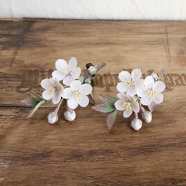 布花　桜のミニブローチ　1548の画像