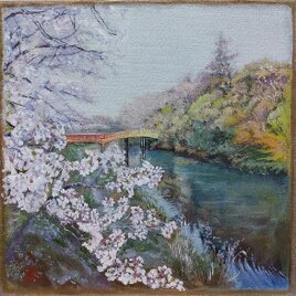 神宮の春の画像