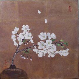 桜の日の画像