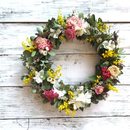 母の日に　(ﾗﾅﾝｷｭﾗｽと春の花）の画像