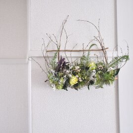 Verdure～緑の風～の画像
