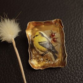 Tiny Art＊オウゴンヒワ＊真鍮＊ブローチ＊no.734の画像