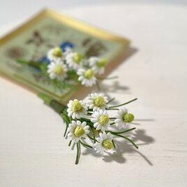 布花　リラックス効果のある人気のハーブ、カモミールのブーケブローチの画像