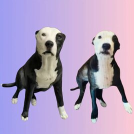【受注作製】ペットギフト うちの子 写真入り 犬人形 フィギュア、名入れ 愛犬 肖像画 似顔絵❤ペットロス、誕生日、記念日の画像