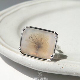 デンドリティック アゲート リング / Dendritic Agate Ring []の画像