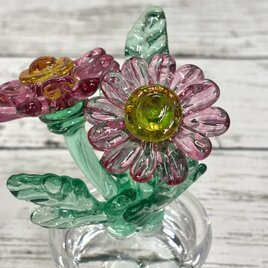 4月の鉢植え　マーガレットの画像