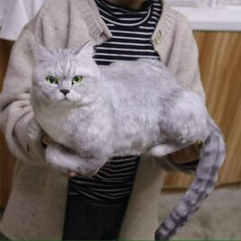 【受注作製】羊毛フェルト、うちの子、猫ぬいぐるみ、フェルト猫、ペットの肖像画、犬猫人形、トイプードル、ペットロス、うちのこ記念日の画像