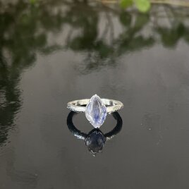 ファンシーカボのデュモルチェの画像
