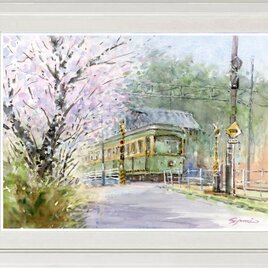 水彩画原画　桜と江ノ電・極楽寺付近　＃659の画像
