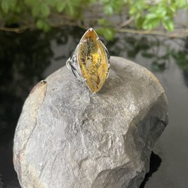 遠景と近景の画像