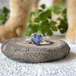 ハート♡カボのデュモルチェ