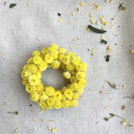 mother's day 2025 miniminiリース【イモーテル】の画像