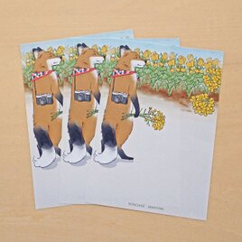 きつねのスマリくん　ご当地メモ紙　金沢菜の花の画像