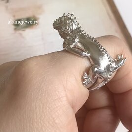 イグアナの指輪の画像