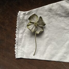 『紫陽花一つを』　白×黄緑の画像