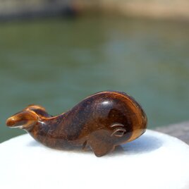 タイガーズアイ　クジラの画像