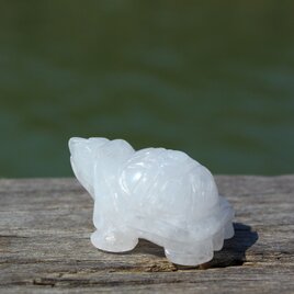 水晶　亀の画像