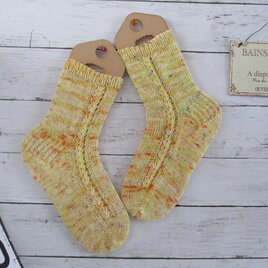 　冷え取り ソックス　My Hand -Dyed Socksyarns　の画像