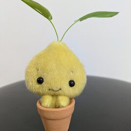 ミニチュアドール☆ぬいぐるみ☆ちょこんと植木鉢☆リーフさん☆レモン*bの画像