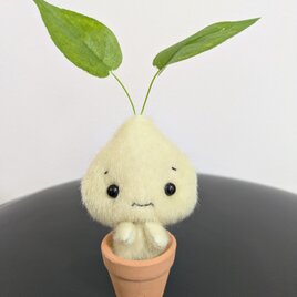 ミニチュアドール☆ぬいぐるみ☆ちょこんと植木鉢☆リーフさん☆レモネードの画像