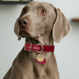 本革ペット首輪 軽量ナローモデル 小型犬・子犬用 オーダー刻印可の画像