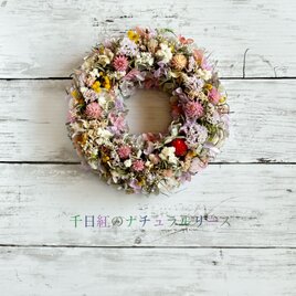 千日紅のナチュラルリースの画像