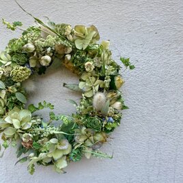 初夏の風のような　黄緑色のリースの画像