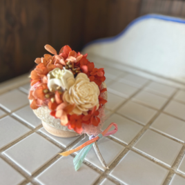 ブッダナッツアレンジ【布みみ×プリザーブドフラワー】