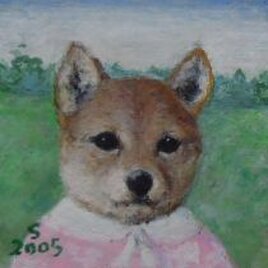 芝犬・ピンク（Bo様ご案内中）の画像