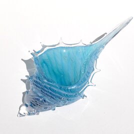アクアブルー貝殻のガラスの入れ物：シェルの器の画像