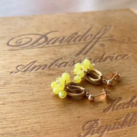 Vintage brass rings × 天然石　ドロップピアス14kgf　Acacia <a022-ear>